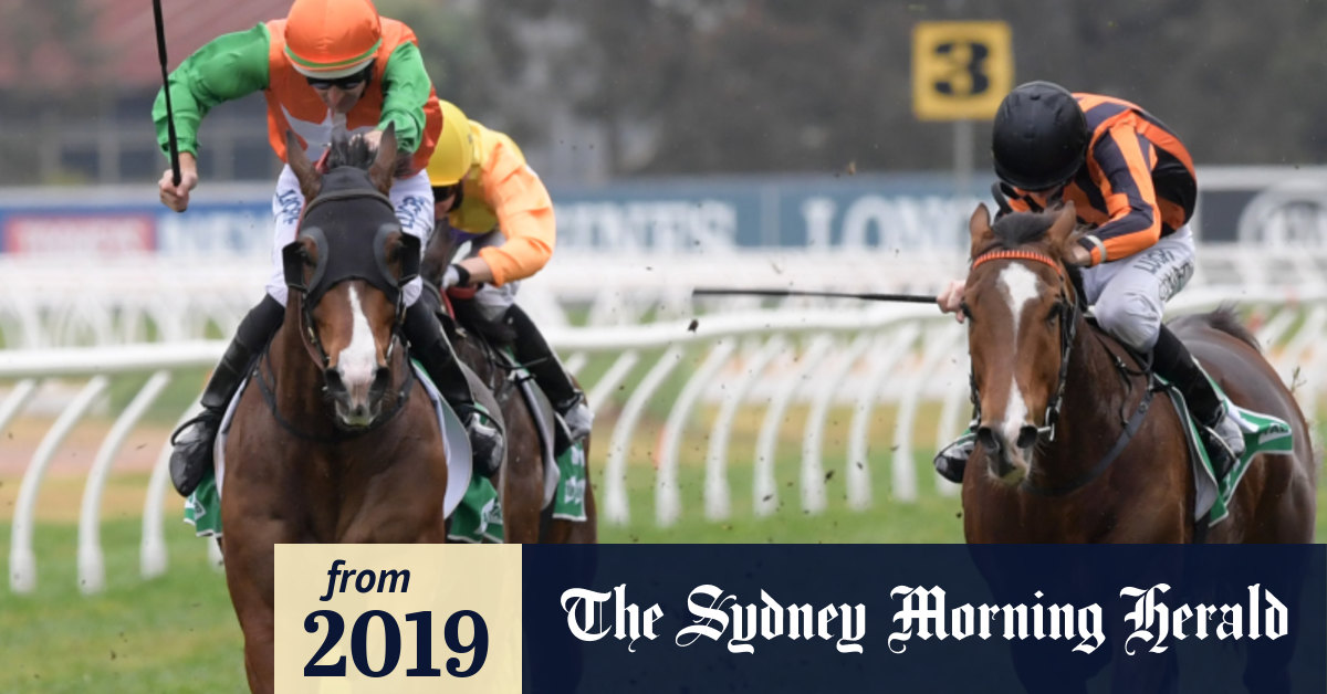 Tips and racebyrace preview for Canterbury Park on Wednesday